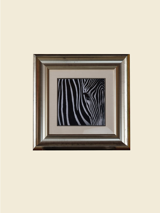Fine art prints titled Zebra Pair, featuring two framed black and white zebra portraits with bold stripes, sold together as a pair.