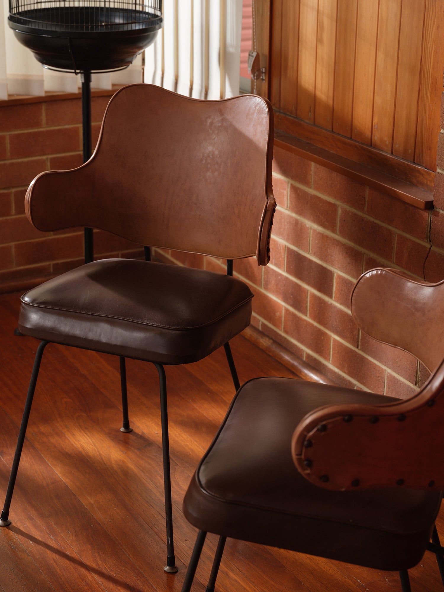 Mid-Century brown leather dining chair with padded seat and sculpted backrest on slim metal legs