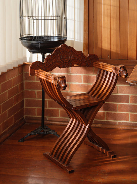 Antique wooden carved chair with lion head details, vintage interior furniture placed in corner with birdcage background